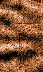 闺媛典  卷203-208