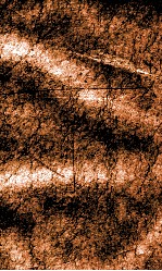 闺媛典  卷209-215