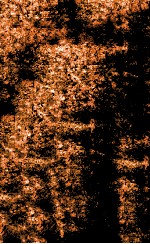 宋诗钞初集  艾轩诗钞、攻愧集钞、清苑斋诗钞、苇碧轩诗钞、芳澜轩诗钞、二薇亭诗钞、知稼翁集钞 电子书封面