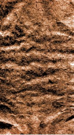 咫进斋丛书  7  测囨密率、椭圆正术、用表推日食三差