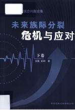 中国民族统合问题论集  未来族际分裂危机与应对  下