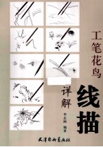 工笔花鸟线描详解