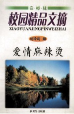 爱情麻辣烫 封面