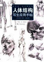人体结构写生应用手帖