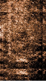 增订纲监正史约  卷21