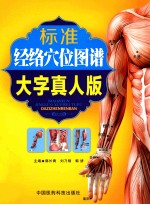标准经络穴位图谱  大字真人版