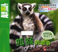 动物的野外生活  狐猴的故事