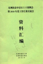 东洲街道中层以上干部例会暨2010年度工作汇报交流会资料汇编