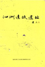 富阳市第三次全国文物普查报告  1  泗洲造纸遗址