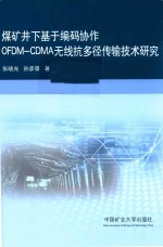 煤矿井下基于编码协作OFDM-CDMA无线抗多径传输技术研究