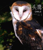 动物小百科  猫头鹰