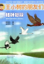 王小树的朋友们   枯叶翅膀