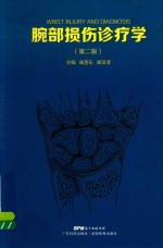 腕部损伤诊疗学  第2版