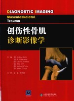 创伤性骨肌诊断影像学