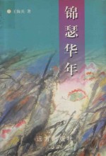 锦瑟华年 电子书封面