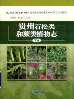 贵州石松类和蕨类植物志  下