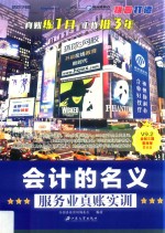 会计的名义  服务业真账实训