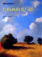 色粉画的光与影  表现绚丽效果的必备技巧