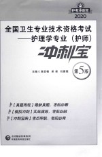 2020全国卫生专业技术资格考试  护理学专业（护师）冲刺宝