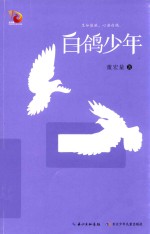 白鸽少年