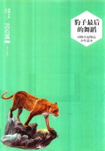 动物小说精品少年读本  豹子最后的舞蹈