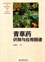 青草药识别与应用图谱