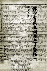 评介古藏文词书《丁香帐》  汉、藏文