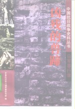 日军暴行录凶残的兽蹄