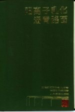 阳离子乳化沥青路面
