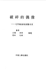 破碎的偶像  毛阿敏偷税案警世录