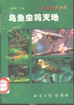 鸟鱼虫鸽天地