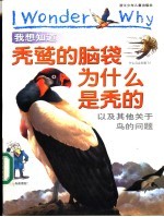 我想知道秃鹫的脑袋为什么是秃的  以及其他关于鸟的问题