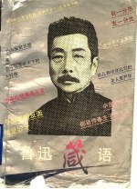 鲁迅箴语 电子书封面