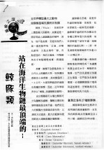 站在海洋生物链最顶端的-鲸豚类