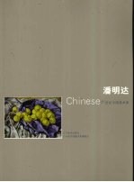 21世纪中国美术家  潘明达