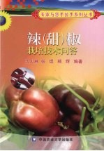 辣  甜  椒栽培技术问答