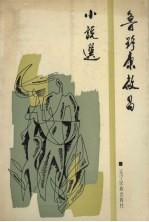 鲁野康启昌小说选 电子书封面