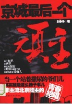 京城最后一个顽主封面