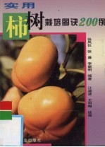 实用柿树栽培图诀200例