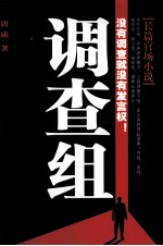 调查组封面