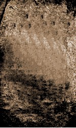 左文襄公奏稿  1