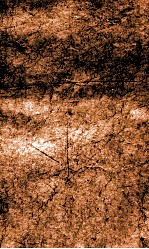 闺媛典  卷237-242