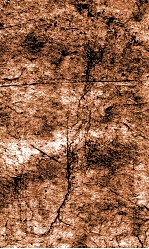 闺媛典  卷250-256