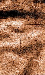 闺媛典  卷271-277