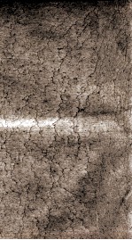 元曲选  47册  碧桃花、张生煮梅