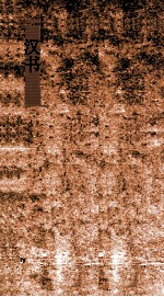 卫青霍去病传  第25  汉书55