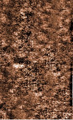 翁仲仁先生痘科金镜赋  卷4-5