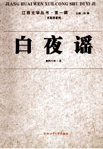 江淮文学丛书  白夜谣
