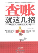 查账就这几招  单位负责人查账实战步步通