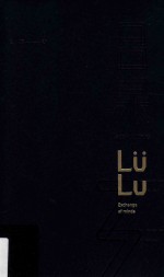 吕录与33个人的对话  吕露与33位中国文艺精英大咖